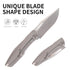 PHEONIX TI-version-folding knife...designed by Anthony Fumia-AmF brand
