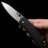 C195 Positron Bearing Folding Knife