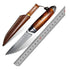 Price US$ 55.8 High Quality Damascus Steel Knife Rosewood Handle Hunting Camping Damascus Knife Edc Pocket Knives For Men Collection Outdoors Camping Buy On Alfknives.com