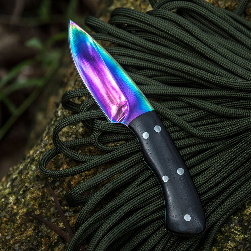 Price US$ 10.07 High Quality Ebony Wood Handle Mini Rainbow Fixed Blade Pocket Knife Edc Small Pastel Knives Other Camping & Hiking Products Titanium Knife Buy On Alfknives.com