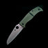 C217GP Caribbean Salt Series Folding Knife