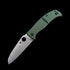 C217GP Caribbean Salt Series Folding Knife