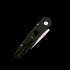 ProTech 3407 Newport AUTO Folding Knife