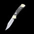 BUCK 110 112 AUTO Folding Knife